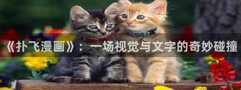 羞羞漫画一汗汗漫画