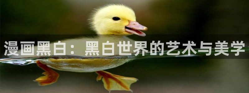 汗汗漫画 在线观看：漫画黑白：黑白世界的艺术与美学