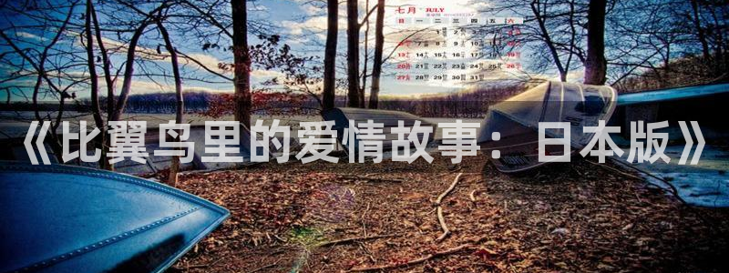 汗汗漫画在线阅读免费漫画阅读下拉式：《比翼鸟里的爱情故事：日本版》