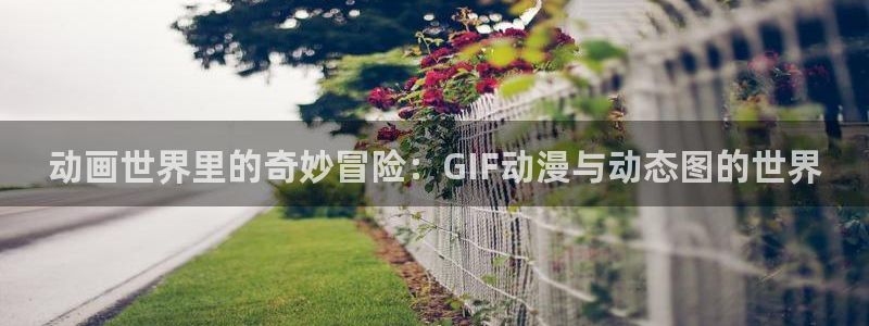 汗汗漫画无遮挡：动画世界里的奇妙冒险：GIF动漫与动态图的世界