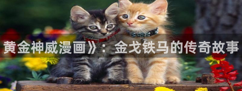 羞羞漫画一一汗汗漫画：黄金神威漫画》：金戈铁马的传奇故事