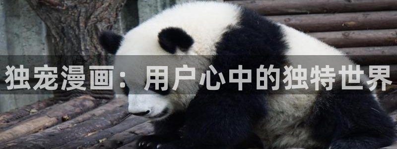 汗汗漫画网址入口：独宠漫画：用户心中的独特世界