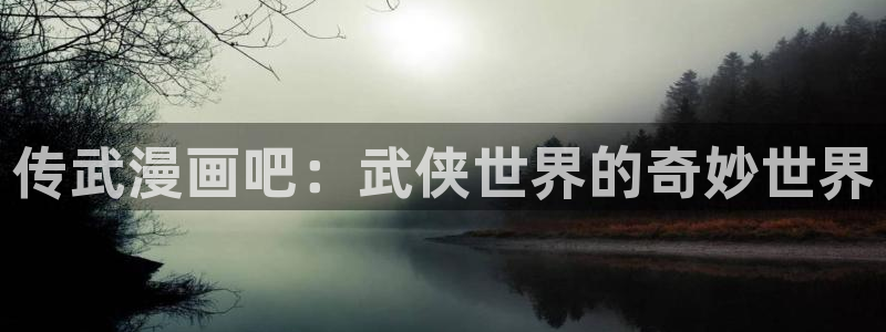 i汗汗漫画：传武漫画吧：武侠世界的奇妙世界