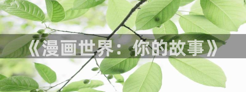 秘密教学汗汗漫画：《漫画世界：你的故事》