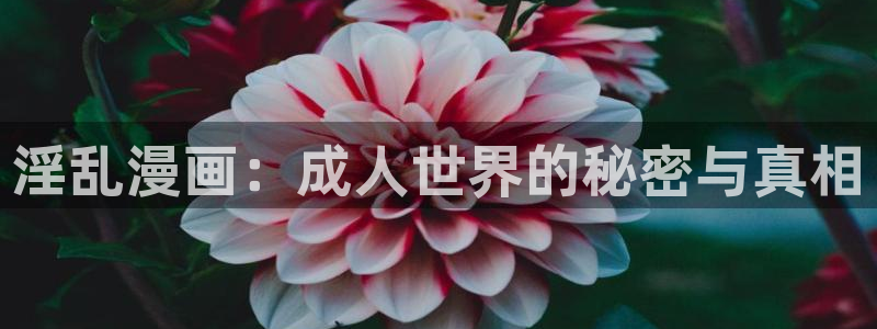 汗汗漫画入口免费