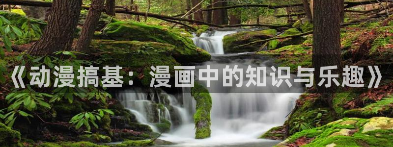 汗汗漫画污：《动漫搞基：漫画中的知识与乐趣》