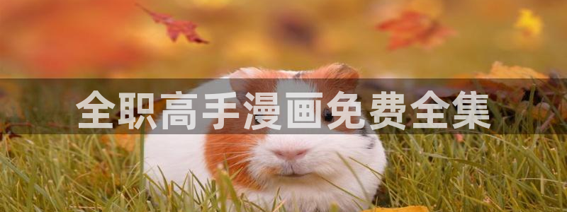 汗汗漫画歪歪漫画免费入口在线：全职高手漫画免费全集