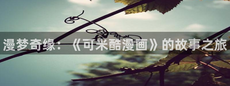 av汗汗漫画：漫梦奇缘：《可米酷漫画》的故事之旅