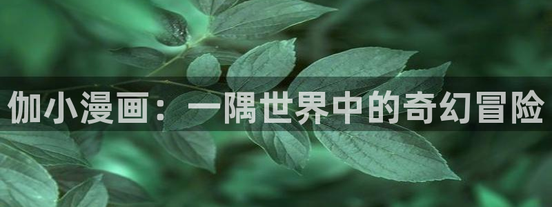 歪歪漫画羞羞漫画汗汗漫画：伽小漫画：一隅世界中的奇幻冒险