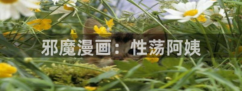 汗汗漫画免费漫画页面：邪魔漫画：性荡阿姨