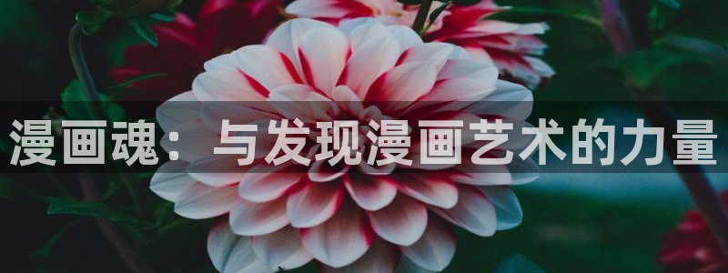 妖精漫画汗汗漫画：漫画魂：与发现漫画艺术的力量