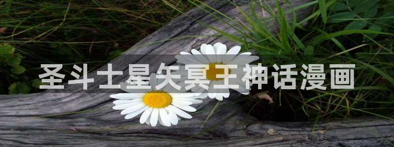 羞羞漫画汗汗漫画入口：圣斗士星矢冥王神话漫画