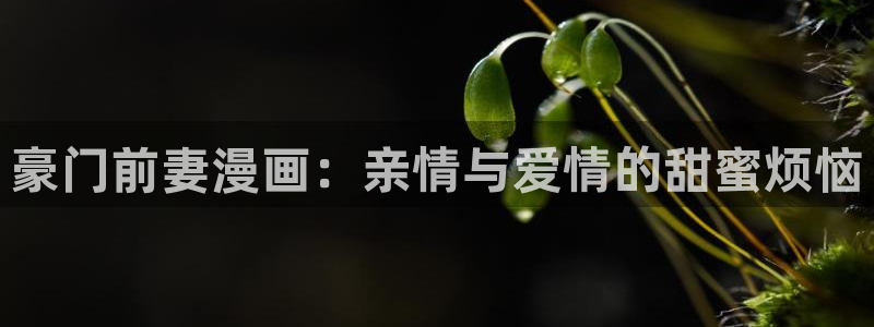h汗汗漫画：豪门前妻漫画：亲情与爱情的甜蜜烦恼